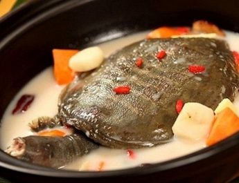Hướng dẫn cách nấu canh rùa hầm tốt cho sức khỏe nam giới